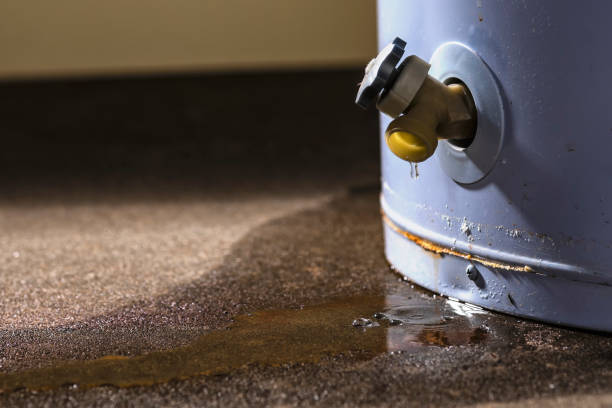 Carpet water damage restoration in Montalvin Manor, CA