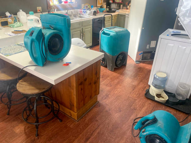  Montalvin Manor, CA Water damage restoration Pros