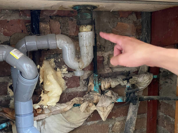 Best Basement water damage restoration  in Montalvin Manor, CA